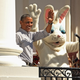 Image for article titled White House Easter: Obama Tells Screaming Kids 'Bees Are Good'